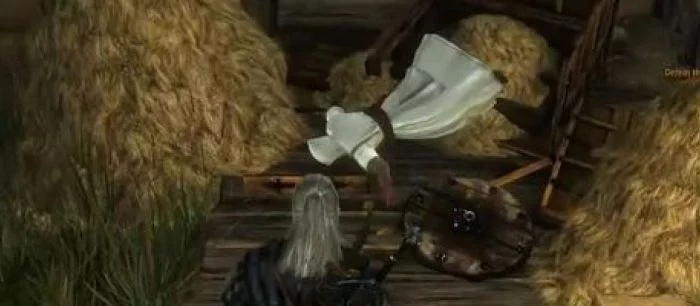 Assassin's Creed в Witcher 2