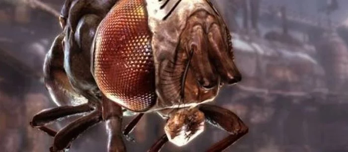 E3 2011: Джон Кармак считает, что разработка Rage затянулась