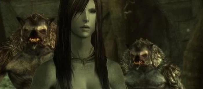 Мультфильм по мотивам Dragon Age откладывается до 2012 года