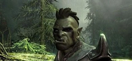 Началось бета-тестирование патча 1.4 для Skyrim в Steam