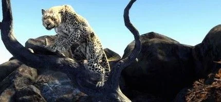 Дата выхода Cabela’s Big Game Hunter 2012