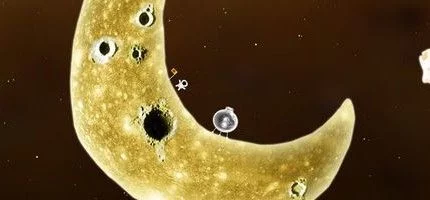 «1С-СофтКлаб» издаст в России Botanicula