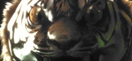 Дата выхода Diabolical Pitch