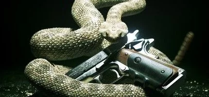 Новые геймплейные кадры Hitman: Absolution