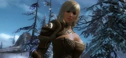 Создатели Guild Wars 2 вдохновлялись Team Fortress