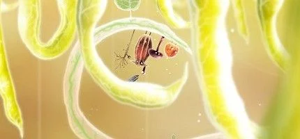 Выход русской версии Botanicula перенесен