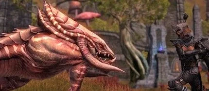 The Elder Scrolls Online не оставит времени на обед