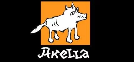 «Акелла» почти банкрот?