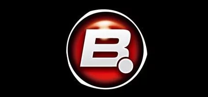 Братья Рейсбергеры покидают Bigpoint