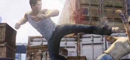 За постановку боев в Sleeping Dogs отвечал чемпион UFC