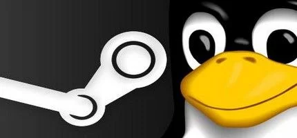 Steam для платформы Linux находится на стадии бета-теста