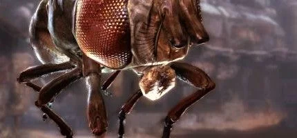 Дополнение Rage: The Scorchers обрело новые подробности