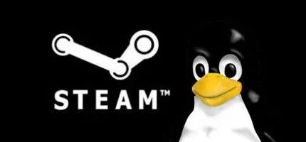 На Linux заработал Steam