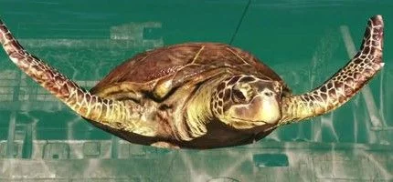 Вышел сюжетный трейлер Far Cry 3