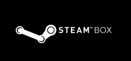 Steam Box / Piston: неувязочка вышла