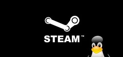 Запущен клиент Steam под Linux