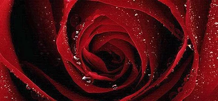 Администрация VGTimes.Ru поздравляет девушек с 8 марта!