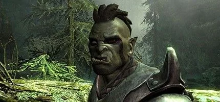 DLC Dragonborn стал последним дополнением для Skyrim