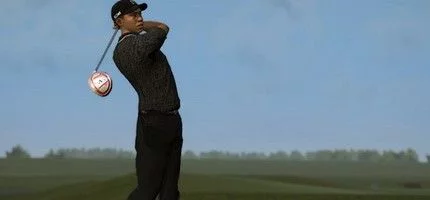 Серия Tiger Woods PGA Tour находилась на грани закрытия