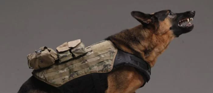 Activision не планирует понижать аппетиты Call of Duty: Ghosts к ОЗУ в ближайшем будущем