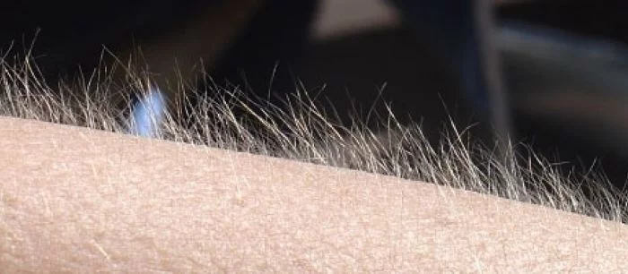 От идей Microsoft у Sony встали дыбом волосы