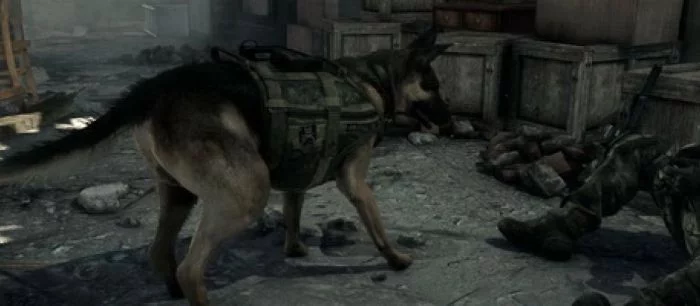 В Call of Duty: Ghosts появилась продвинутая симуляция шерсти