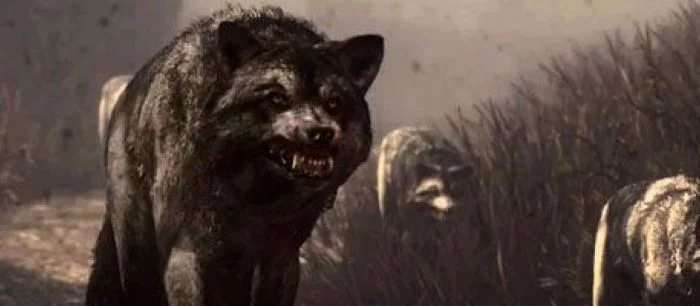 Infinity Ward всего за 2 доллара превратит вашего пса в волка