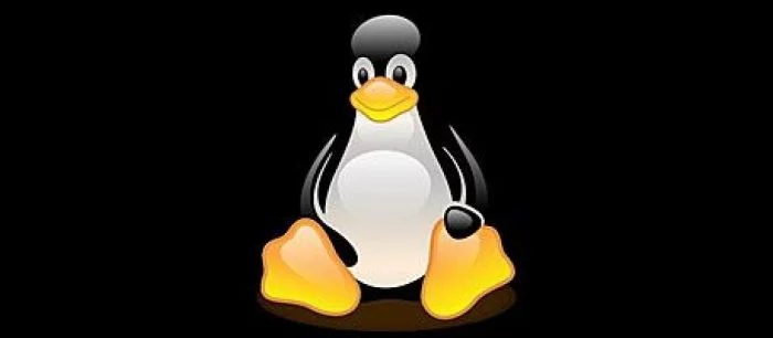 Valve присоединилась к Linux Foundation и вступила в борьбу за рынок ОС для РС