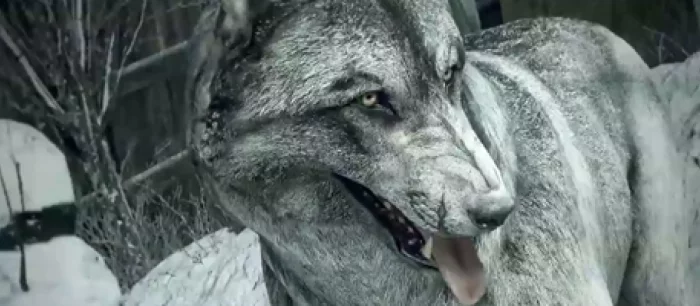 Не прошло и месяца — CoD: Ghosts для PC, PS3 и PS4 получила волчью шкуру