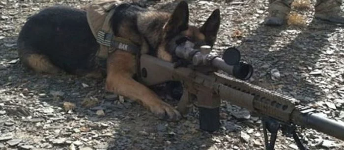 Геймплейное видео Call of Duty: Ghosts показало Хищника, взрывающиеся вулканы и огромных водных мутантов