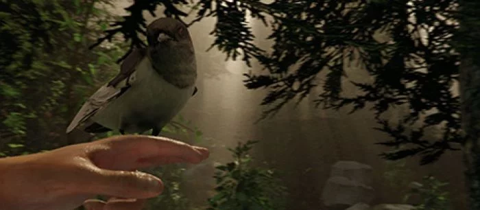 Названа дата выхода The Forest, опубликован трейлер игры