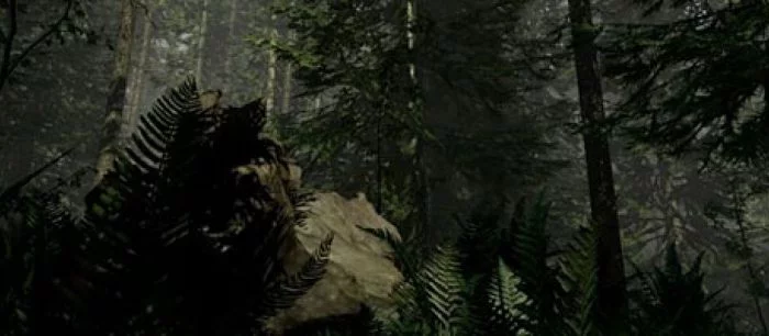 Превью The Forest — дивный новый мир