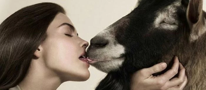 Секреты Goat Simulator