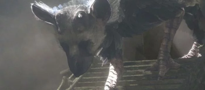 The Last Guardian могут анонсировать во второй раз