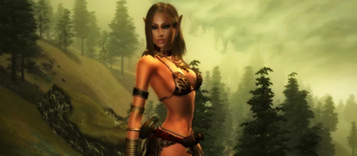 Oblivion воссоздают на движке Skyrim