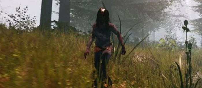 The Forest выйдет на одну неделю позже