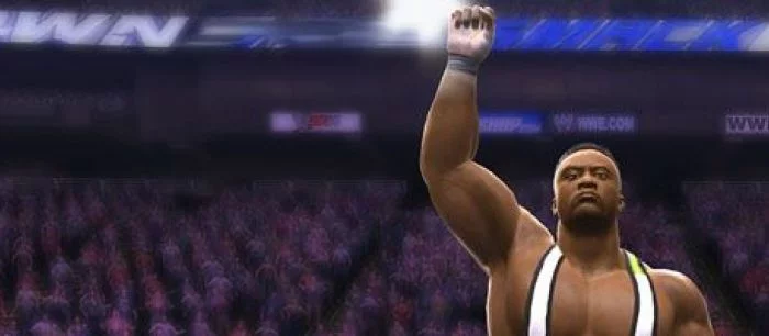 За релиз WWE 2K15 на РС организовали петицию