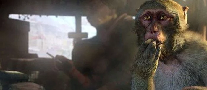 E3 2014: Однопользовательский режим Far Cry 4 нельзя пройти в кооперативе