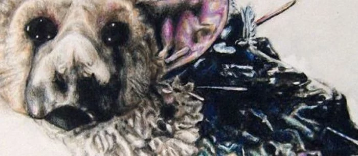 The Last Guardian отменена