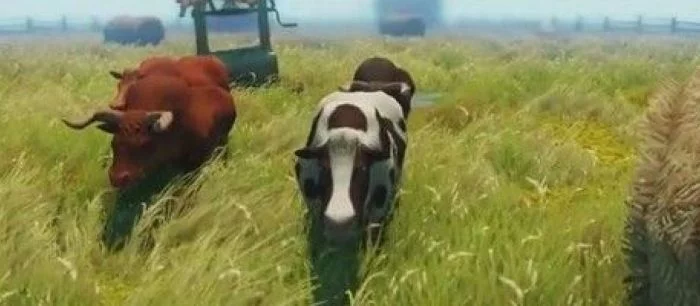 В ответ на симулятор козла появится симулятор коровы