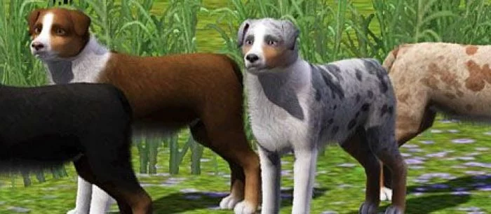 В сети появились 20 минут геймплея Sims 4