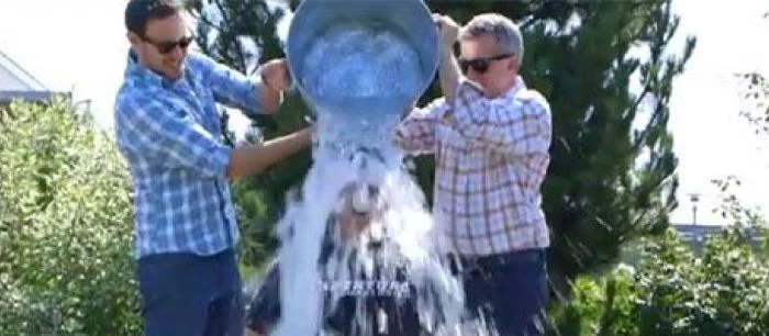 Глава Xbox и создатель Minecraft вылили на себя ведро ледяной воды