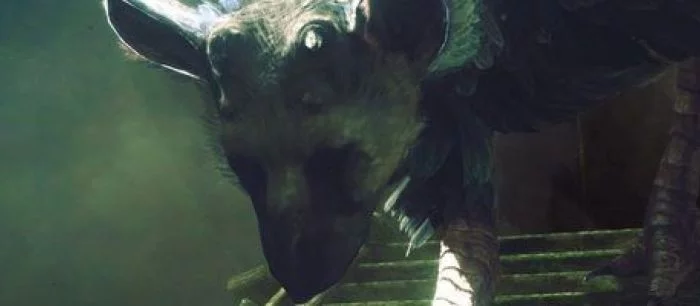 Sony: «Last Guardian всё ещё находится в разработке»