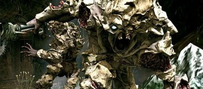 Monster Hunter 4 не выйдет на Wii U