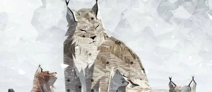 Shelter 2 перенесли на следующий год