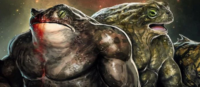 Microsoft готовится к новому анонсу