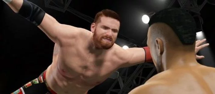 Польский ресурс указал на существование PC-версии WWE 2K15