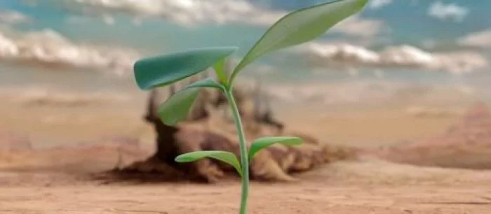 Sony готовится анонсировать (не) игру под названием EMAGON