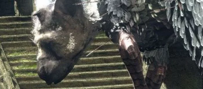 Sony прояснила ситуацию с разработкой Last Guardian