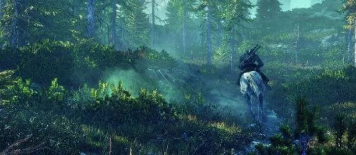Для Witcher 3 выйдут два крупных дополнения